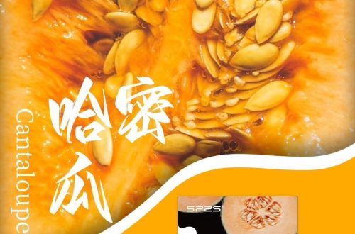 sp2s哈密瓜煙彈,SP2S主機,sp2s煙油,思博瑞菸油,思博瑞煙油,sp2s菸油,sp2s,思博瑞,sp2s電子煙,sp2s主機,sp2s口味,sp2s推薦,sp2s煙彈,sp2s糖果,sp2s電子菸,sp2s電子菸主機,sp2s口味推薦,sp2s購買,sp2s菸彈,sp2s電子菸購買,sp2s官網,sp2s菸彈推薦,電子煙,電子菸推薦,電子煙口味,電子煙推薦,sp2s糖果口味,思博瑞電子煙ptt,思博瑞電子煙dcard,思博瑞電子煙評價,sp2s煙彈口味推薦,思博瑞主機,sp2s主機說明書,sp2s拋棄式四代,SP2S7000口拋棄式,sp2s新款電子煙,思博瑞電子煙,思博瑞口味,思博瑞推薦,思博瑞煙彈,思博瑞糖果,思博瑞電子菸,思博瑞電子菸主機,思博瑞口味推薦,思博瑞購買,思博瑞菸彈,思博瑞拋棄式,SP2S煙桿,思博瑞官網